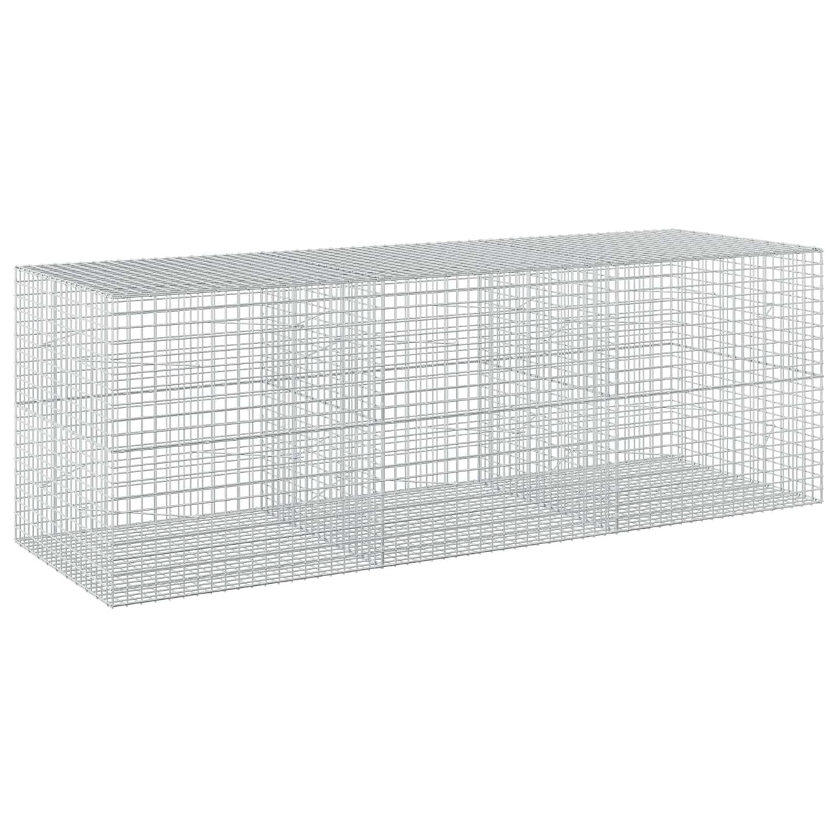Gabion with 5 mm Wire and 5x5 cm Mesh 300x100x100 cm