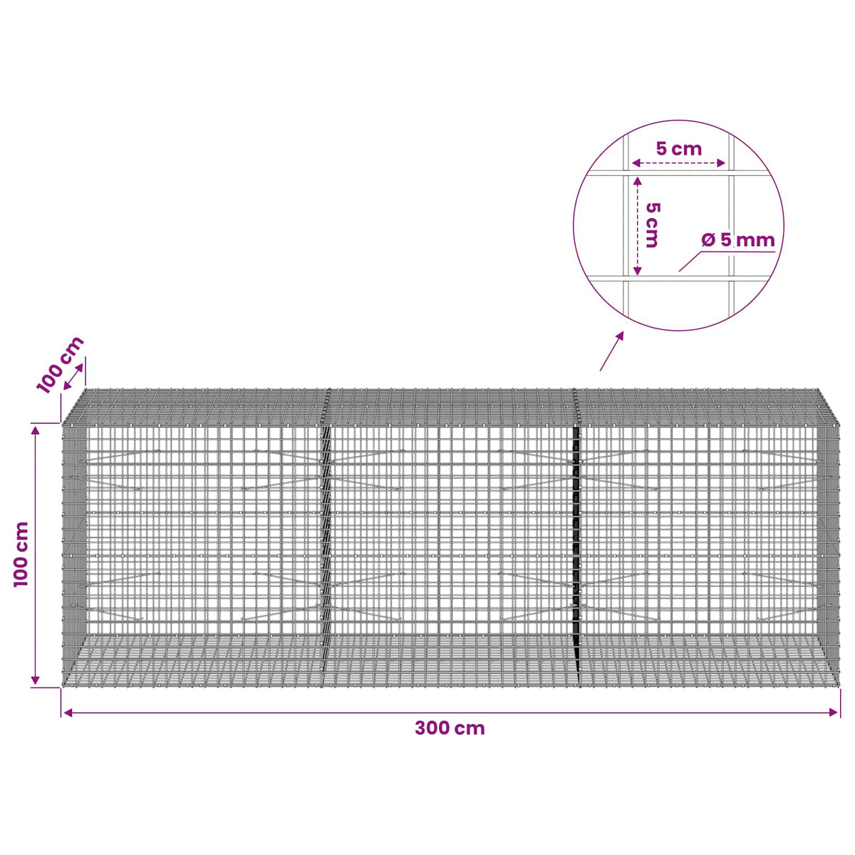Gabion with 5 mm Wire and 5x5 cm Mesh 300x100x100 cm