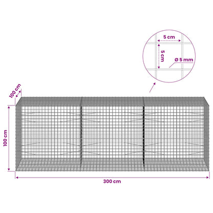 Gabion with 5 mm Wire and 5x5 cm Mesh 300x100x100 cm