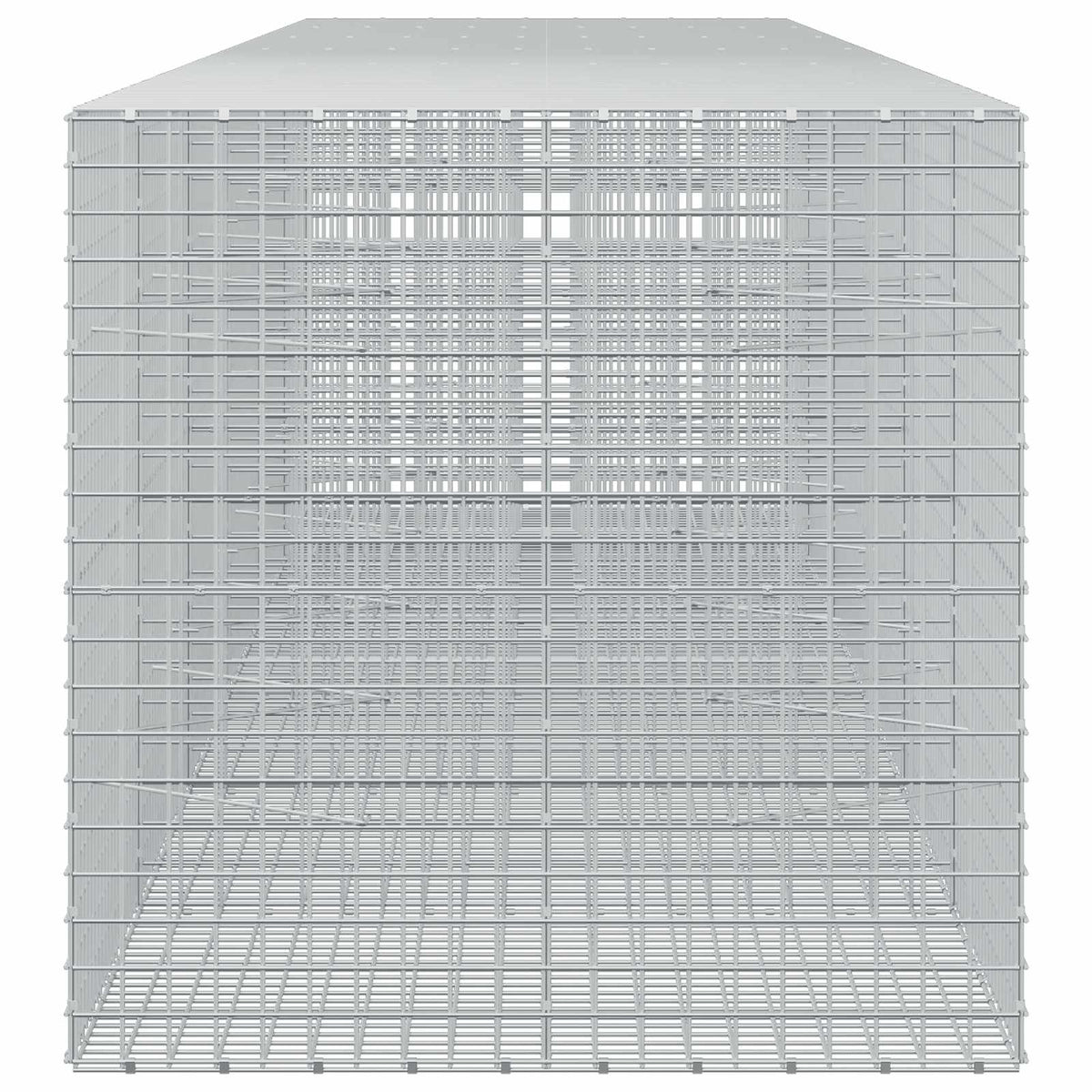Gabion with 5 mm Wire and 5x5 cm Mesh 600x100x100 cm