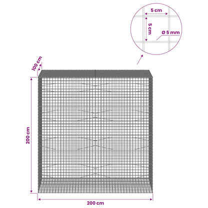 Gabion with 5 mm Wire and 5x5 cm Mesh 200x100x200 cm