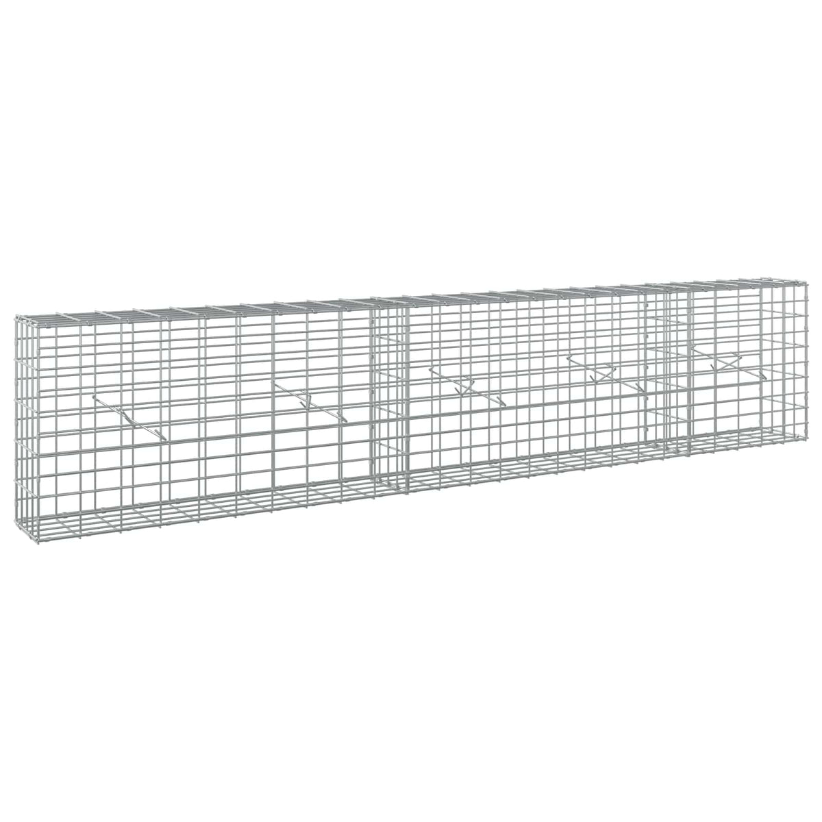 Gabion with 5 mm Wire and 5x10 cm Mesh 250x20x50 cm