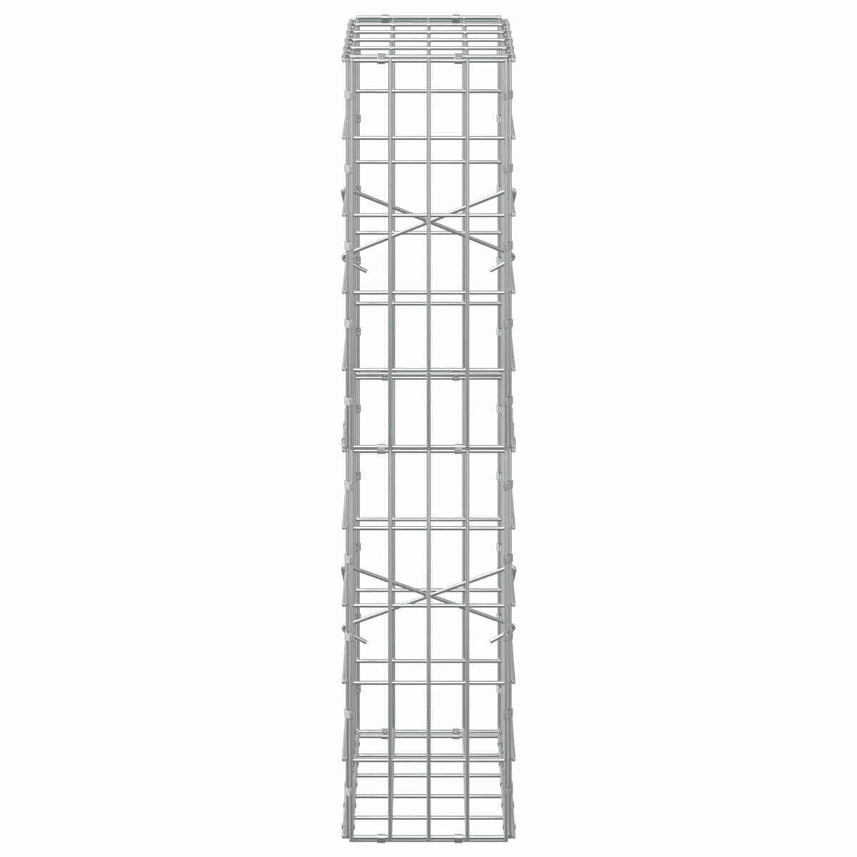 Gabion with 5 mm Wire and 5x10 cm Mesh 50x20x100 cm