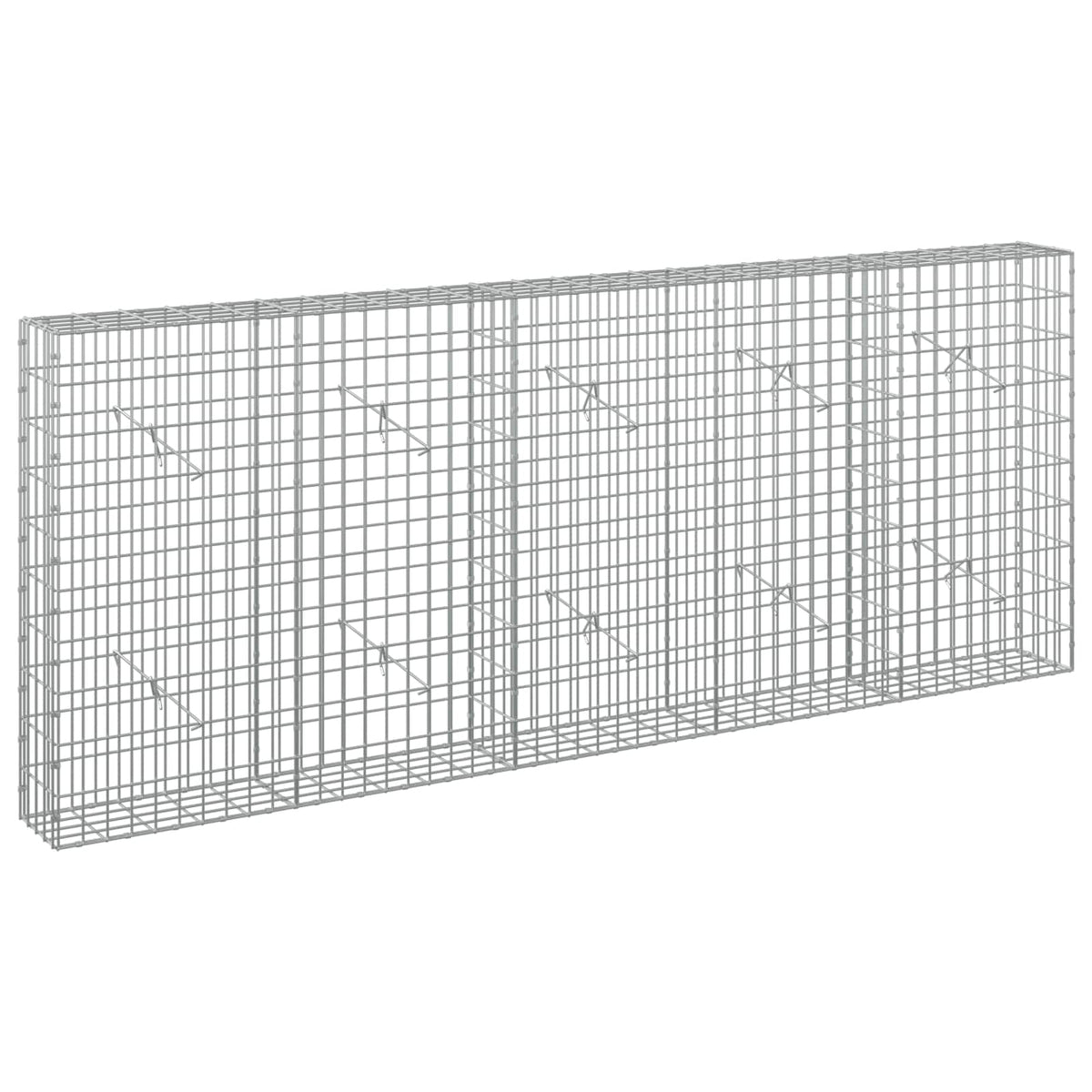 Gabion with 5 mm Wire and 5x10 cm Mesh 250x20x100 cm