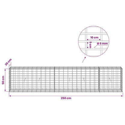 Gabion with 5 mm Wire and 5x10 cm Mesh 250x30x50 cm