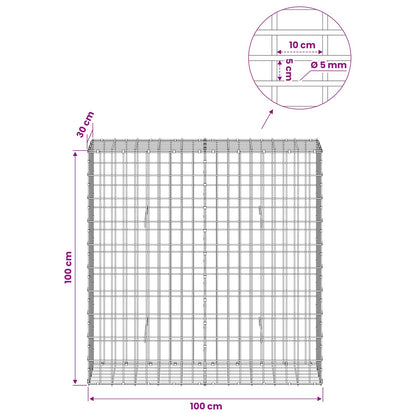 Gabion with 5 mm Wire and 5x10 cm Mesh 100x30x100 cm