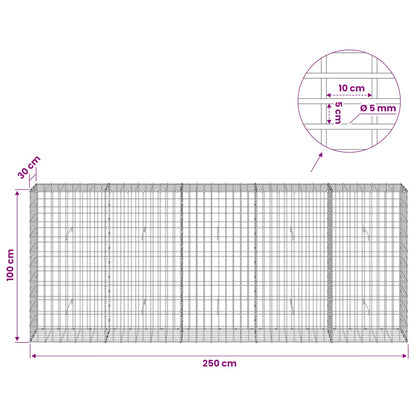 Gabion with 5 mm Wire and 5x10 cm Mesh 250x30x100 cm