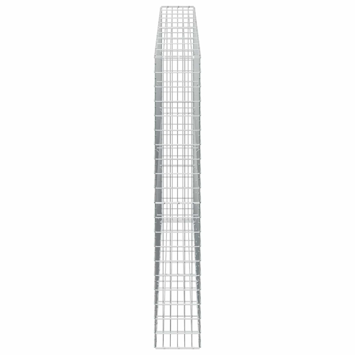 Gabion with 5 mm Wire and 5x10 cm Mesh 100x30x200 cm