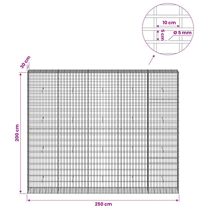 Gabion with 5 mm Wire and 5x10 cm Mesh 250x30x200 cm