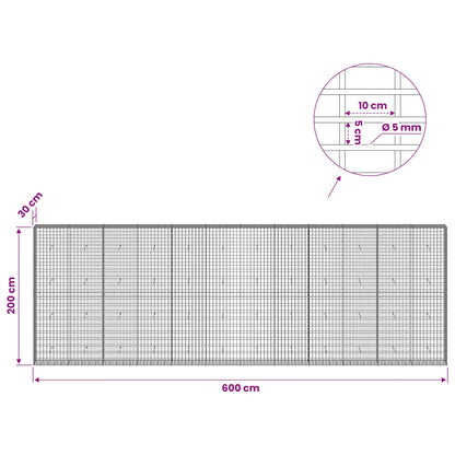 Gabion with 5 mm Wire and 5x10 cm Mesh 600x30x200 cm