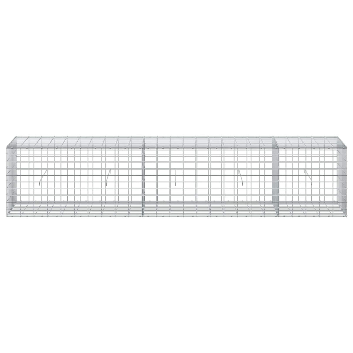 Gabion with 5 mm Wire and 5x10 cm Mesh 250x50x50 cm
