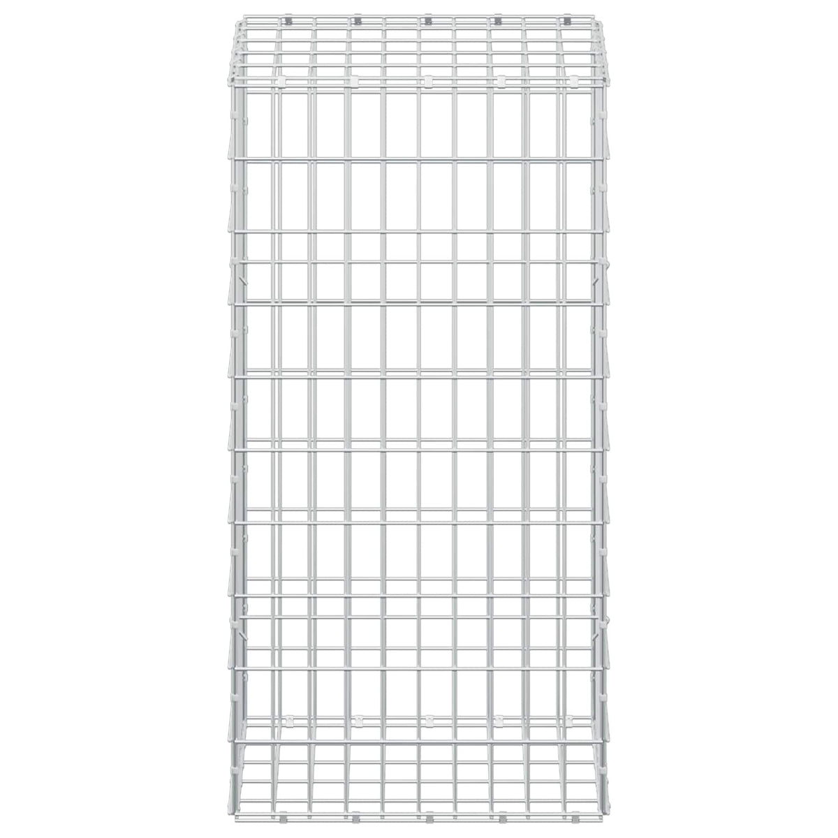 Gabion with 5 mm Wire and 5x10 cm Mesh 50x50x100 cm