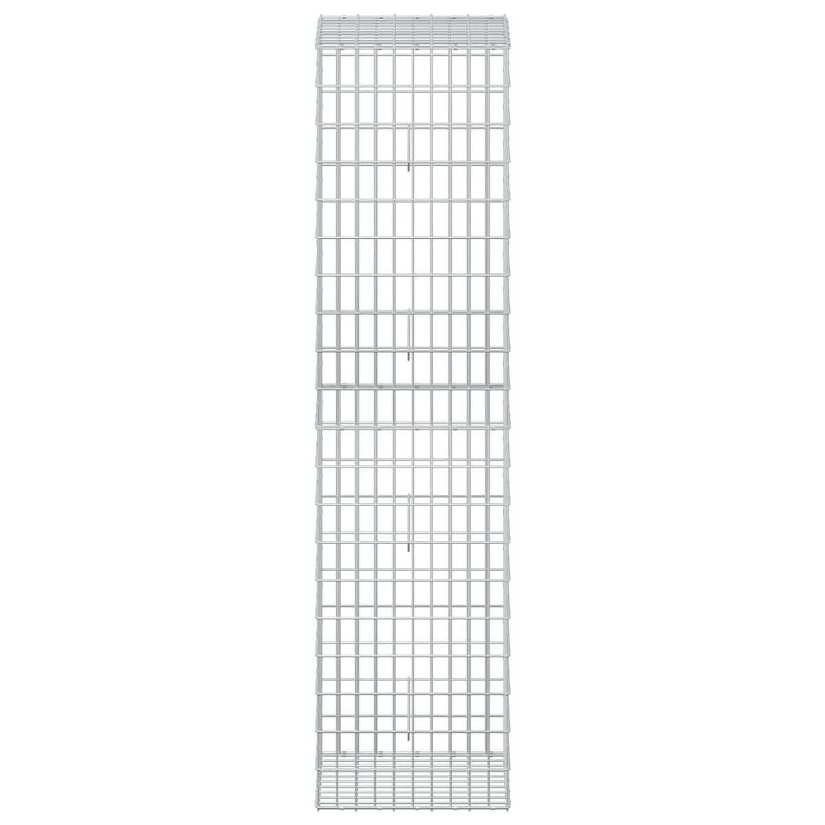 Gabion with 5 mm Wire and 5x10 cm Mesh 50x50x200 cm