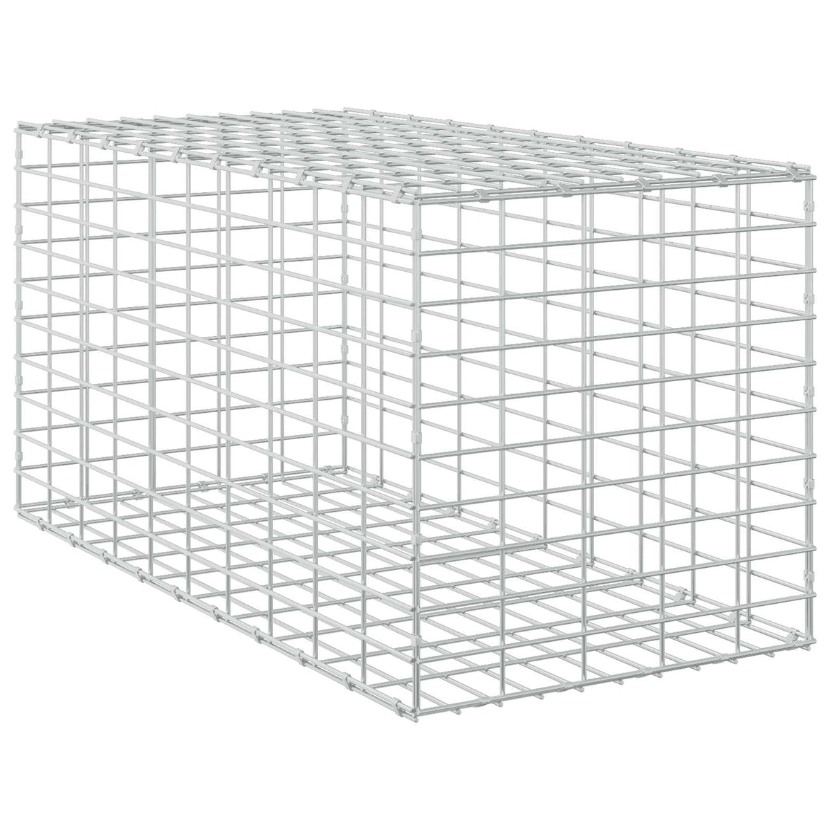Gabion with 5 mm Wire and 5x10 cm Mesh 50x100x50 cm