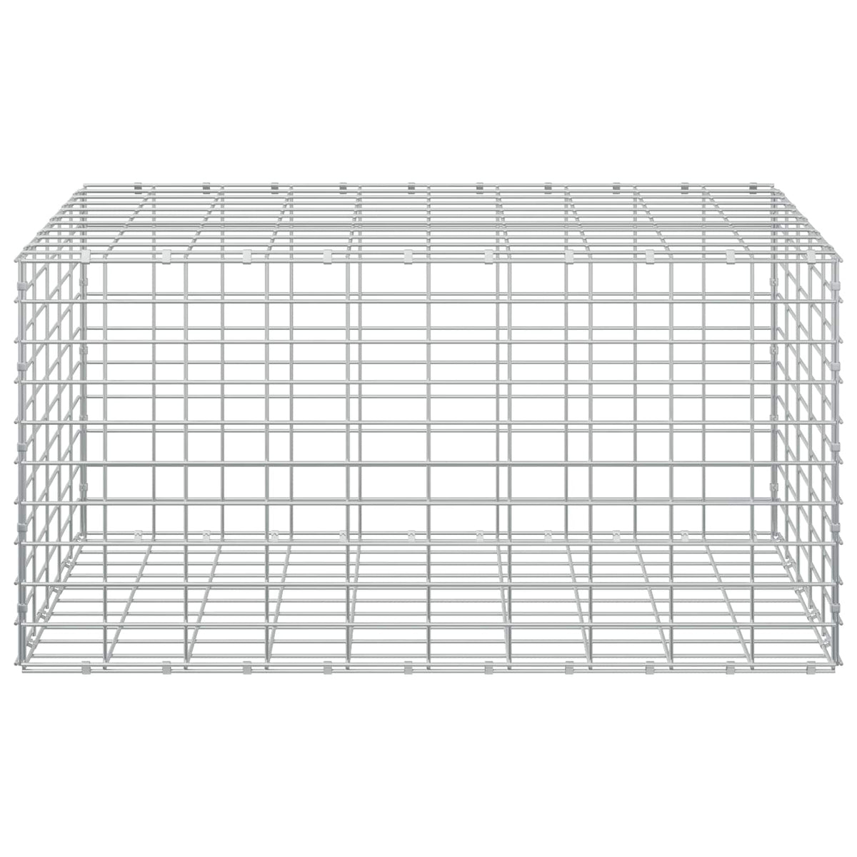 Gabion with 5 mm Wire and 5x10 cm Mesh 50x100x50 cm