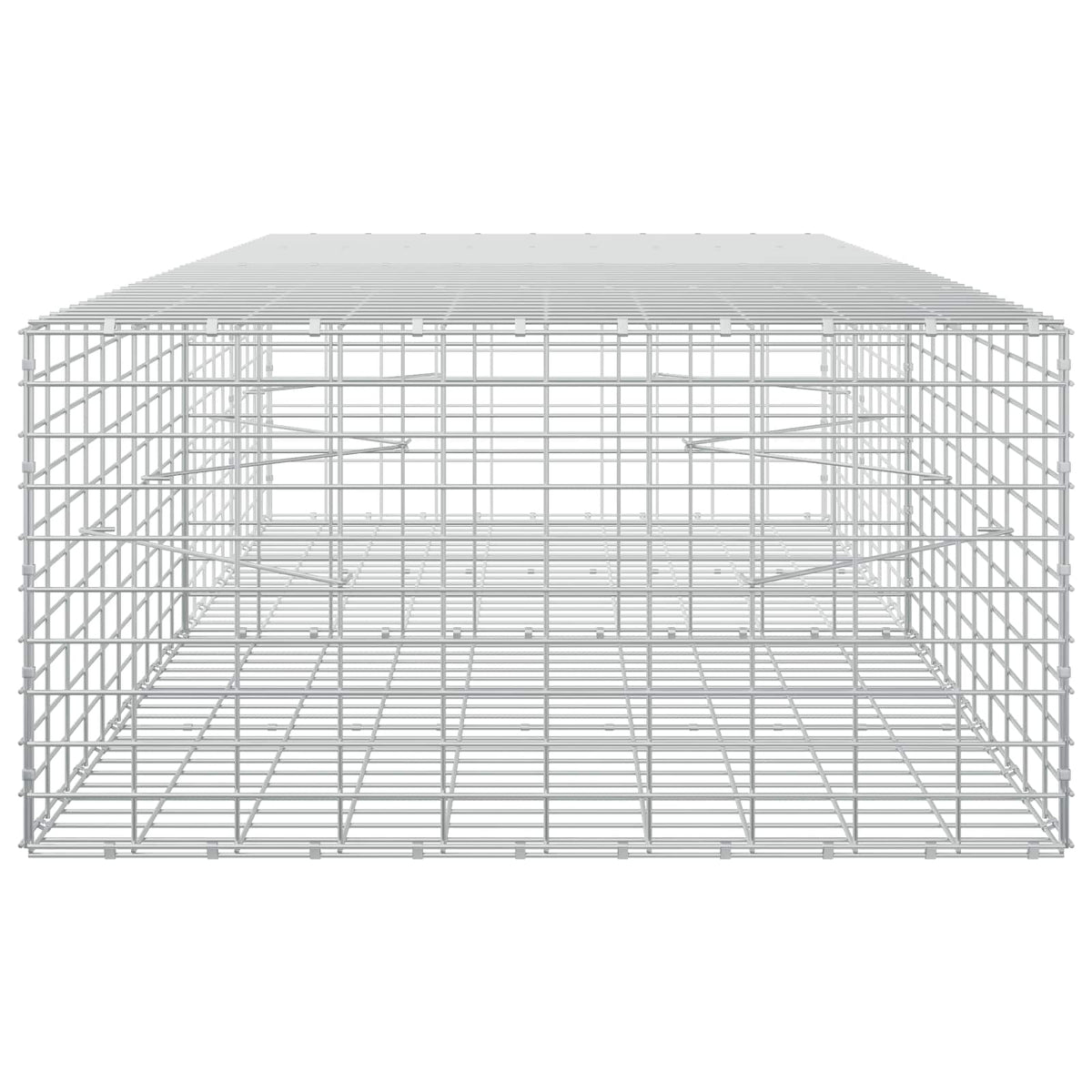 Gabion with 5 mm Wire and 5x10 cm Mesh 200x100x50 cm
