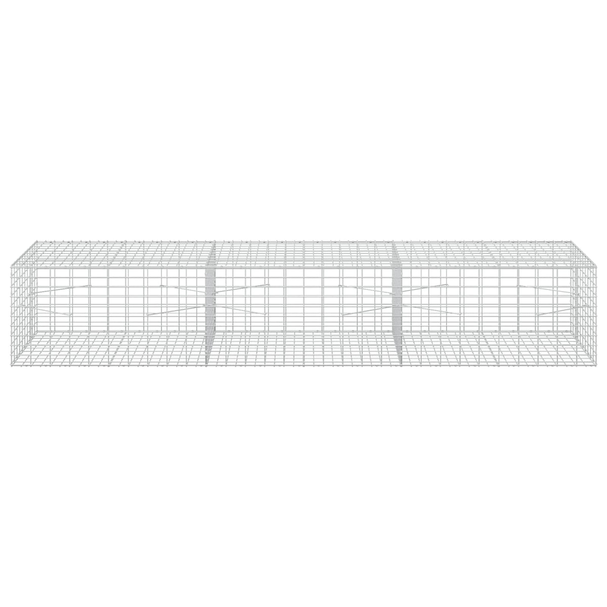 Gabion with 5 mm Wire and 5x10 cm Mesh 300x100x50 cm