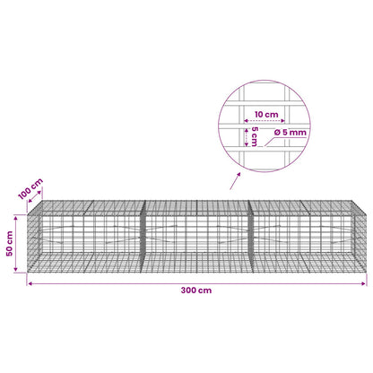 Gabion with 5 mm Wire and 5x10 cm Mesh 300x100x50 cm