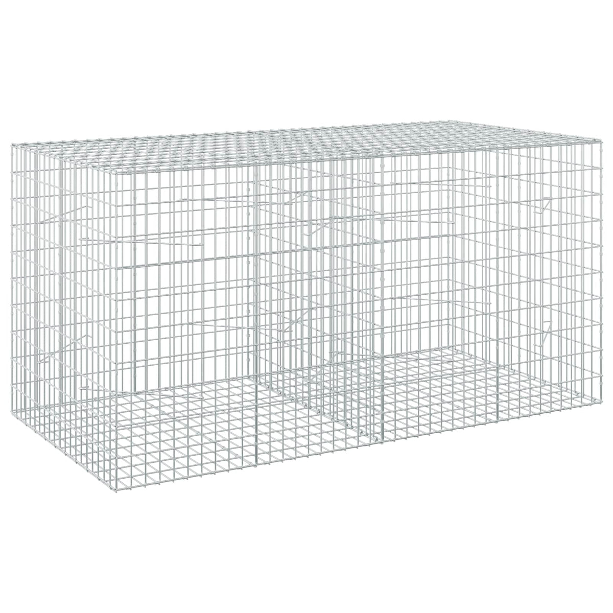 Gabion with 5 mm Wire and 5x10 cm Mesh 200x100x100 cm