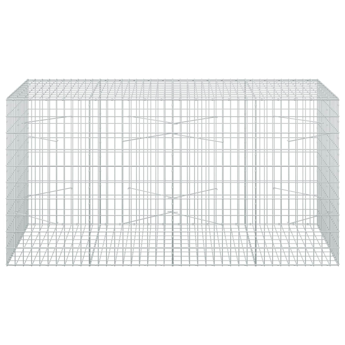 Gabion with 5 mm Wire and 5x10 cm Mesh 200x100x100 cm
