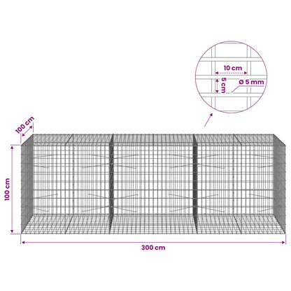 Gabion with 5 mm Wire and 5x10 cm Mesh 300x100x100 cm