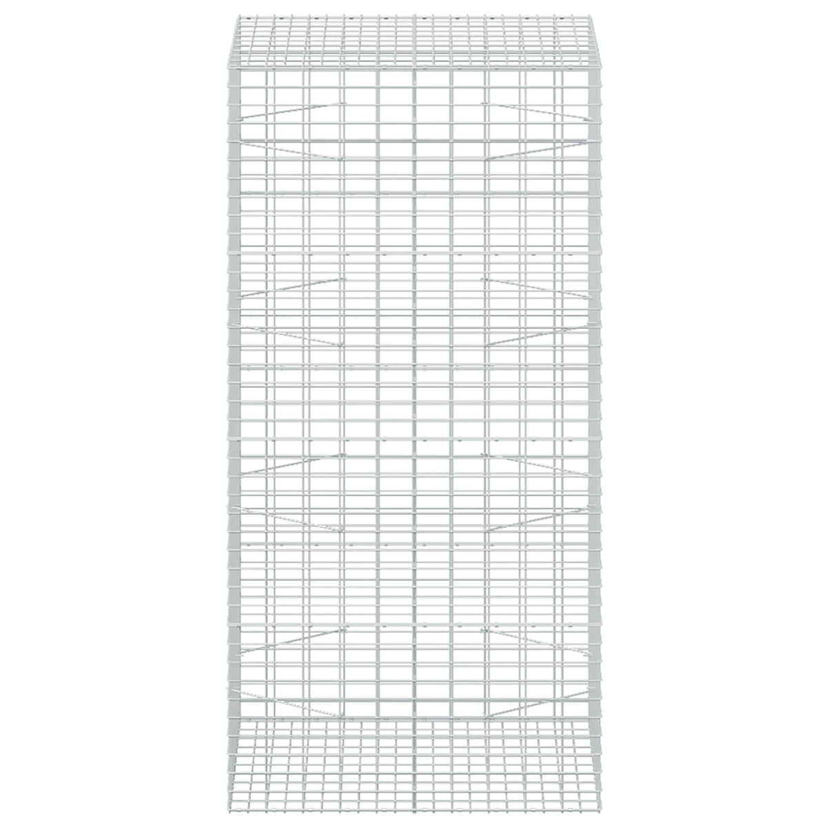 Gabion with 5 mm Wire and 5x10 cm Mesh 100x100x200 cm