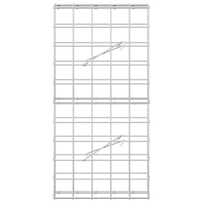 Gabion with 5 mm Wire and 10x10 cm Mesh 50x10x100 cm