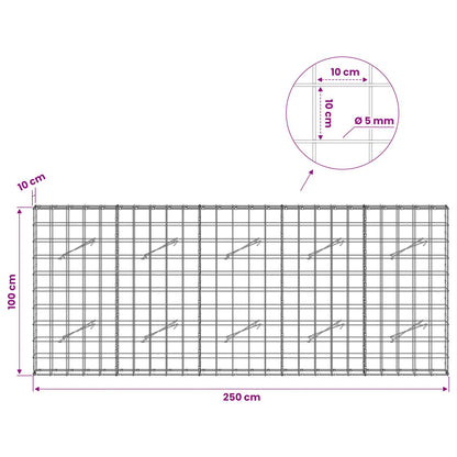 Gabion with 5 mm Wire and 10x10 cm Mesh 250x10x100 cm