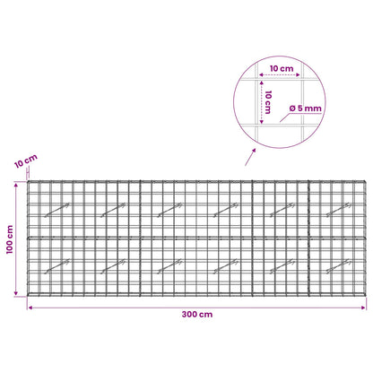 Gabion with 5 mm Wire and 10x10 cm Mesh 300x10x100 cm