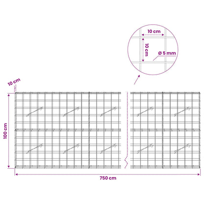 Gabion with 5 mm Wire and 10x10 cm Mesh 750x10x100 cm