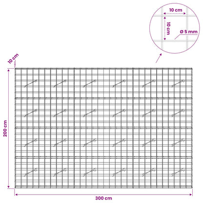 Gabion with 5 mm Wire and 10x10 cm Mesh 300x10x200 cm
