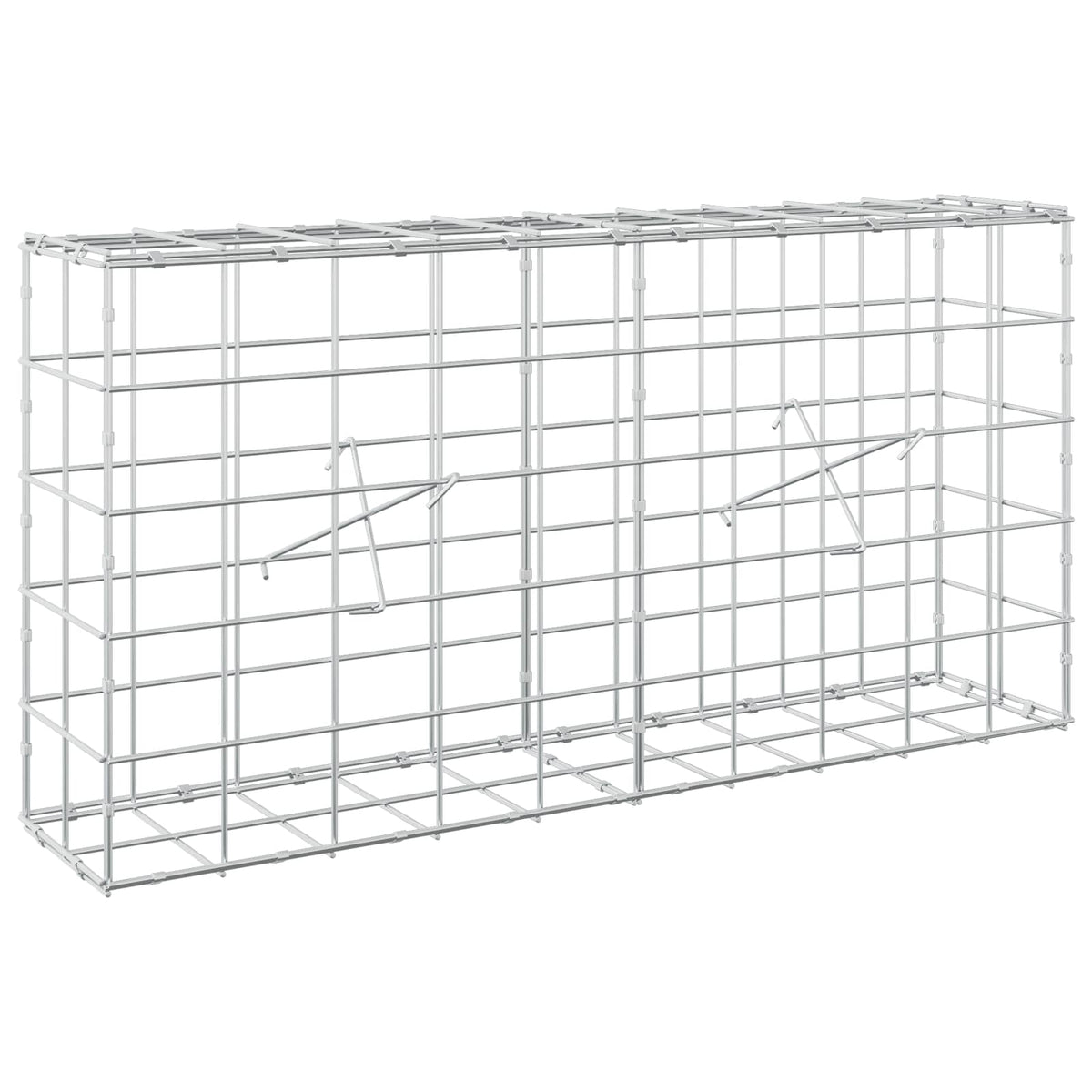 Gabion with 5 mm Wire and 10x10 cm Mesh 100x20x50 cm