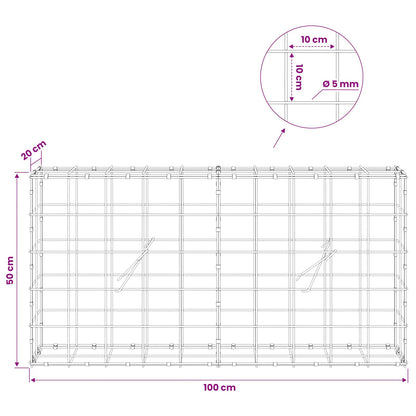 Gabion with 5 mm Wire and 10x10 cm Mesh 100x20x50 cm