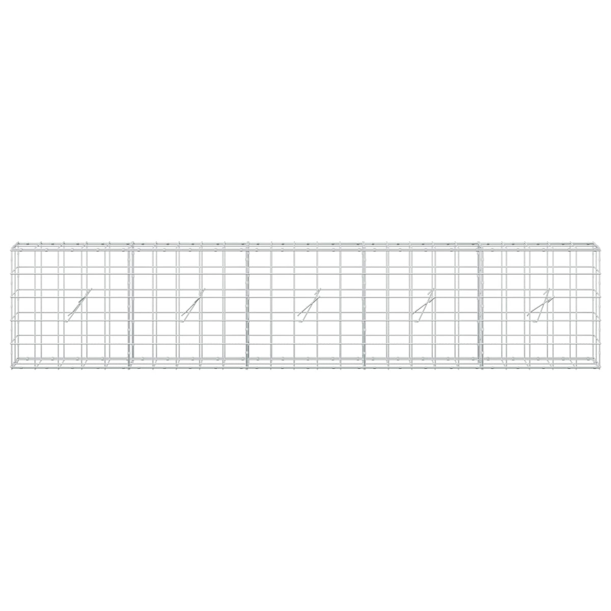 Gabion with 5 mm Wire and 10x10 cm Mesh 250x20x50 cm
