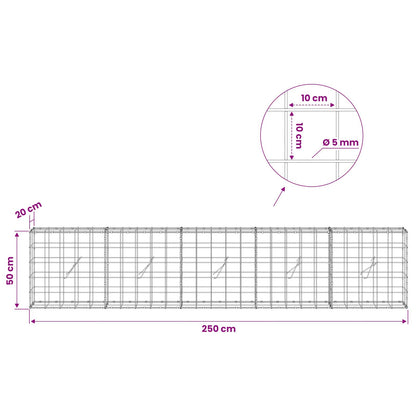 Gabion with 5 mm Wire and 10x10 cm Mesh 250x20x50 cm