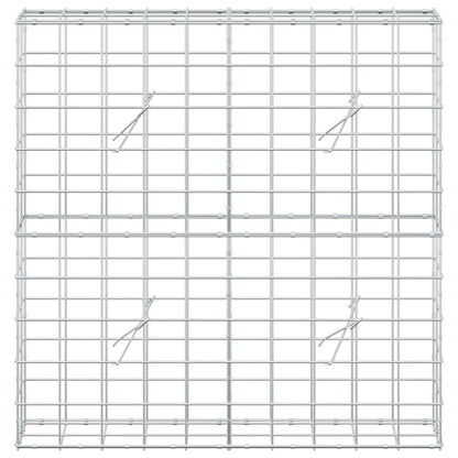 Gabion with 5 mm Wire and 10x10 cm Mesh 100x20x100 cm