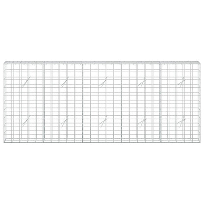 Gabion with 5 mm Wire and 10x10 cm Mesh 250x20x100 cm