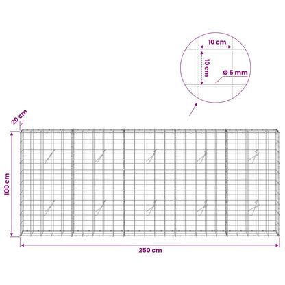 Gabion with 5 mm Wire and 10x10 cm Mesh 250x20x100 cm
