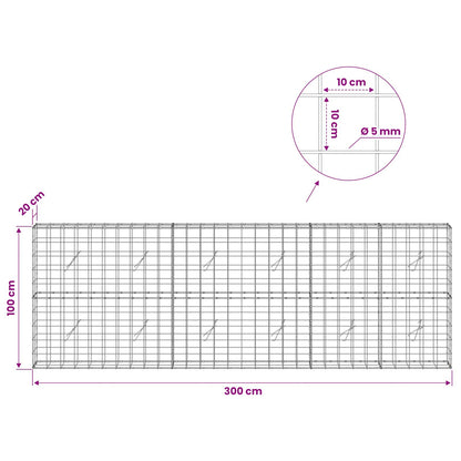 Gabion with 5 mm Wire and 10x10 cm Mesh 300x20x100 cm