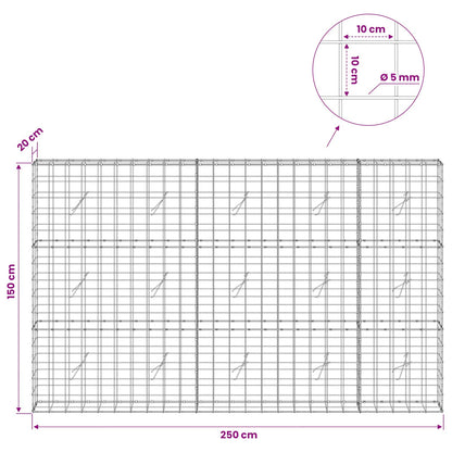 Gabion with 5 mm Wire and 10x10 cm Mesh 250x20x150 cm