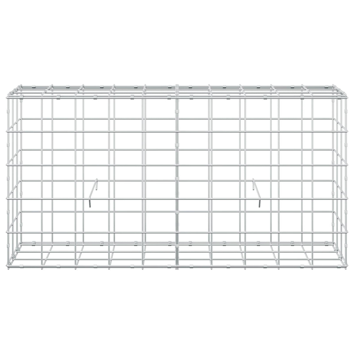 Gabion with 5 mm Wire and 10x10 cm Mesh 100x30x50 cm