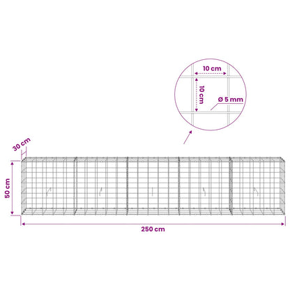 Gabion with 5 mm Wire and 10x10 cm Mesh 250x30x50 cm