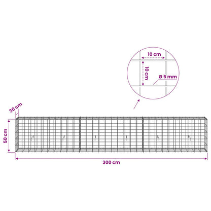 Gabion with 5 mm Wire and 10x10 cm Mesh 300x30x50 cm