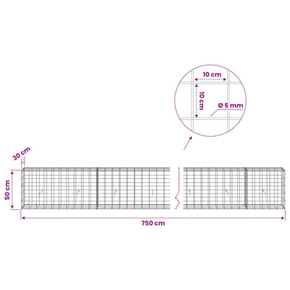 Gabion with 5 mm Wire and 10x10 cm Mesh 750x30x50 cm