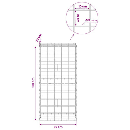 Gabion with 5 mm Wire and 10x10 cm Mesh 50x30x100 cm