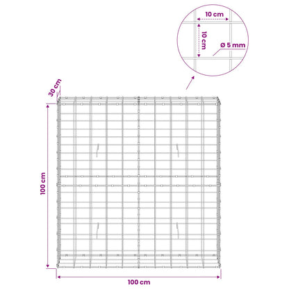 Gabion with 5 mm Wire and 10x10 cm Mesh 100x30x100 cm