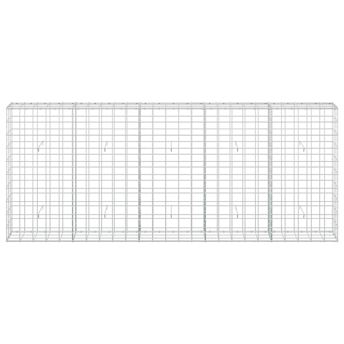 Gabion with 5 mm Wire and 10x10 cm Mesh 250x30x100 cm