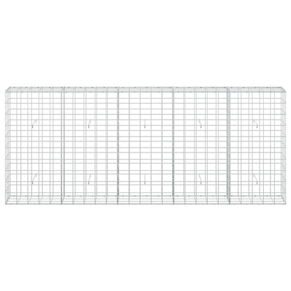 Gabion with 5 mm Wire and 10x10 cm Mesh 250x30x100 cm