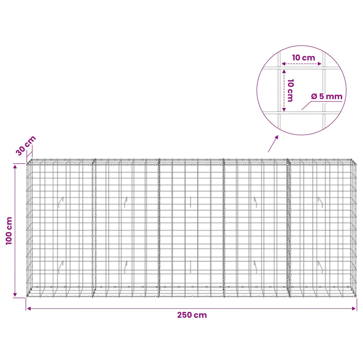 Gabion with 5 mm Wire and 10x10 cm Mesh 250x30x100 cm