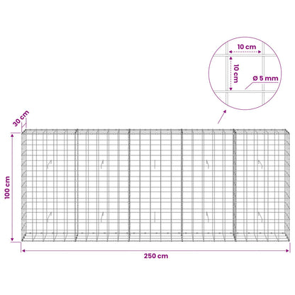 Gabion with 5 mm Wire and 10x10 cm Mesh 250x30x100 cm